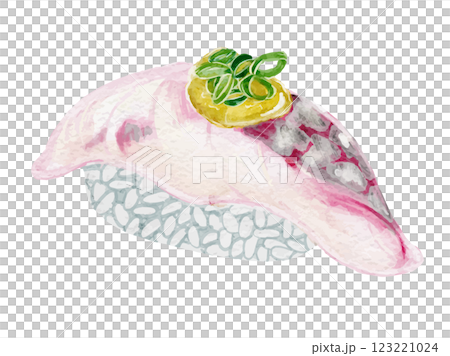 水彩で描いた日本食お寿司の鯵のイラスト素材 123221024