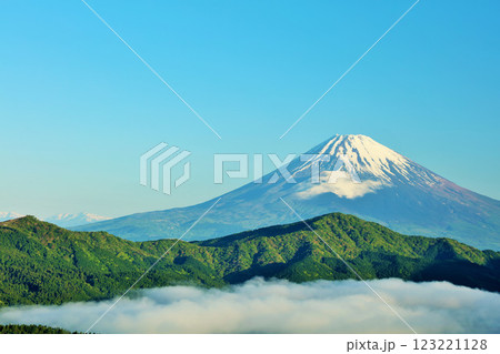 初夏の朝　箱根からの富士山と雲海 123221128