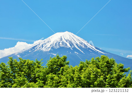 初夏の青空と新緑の風景 そして富士山 初夏の青空と新緑の風景 そして富士山 123221132