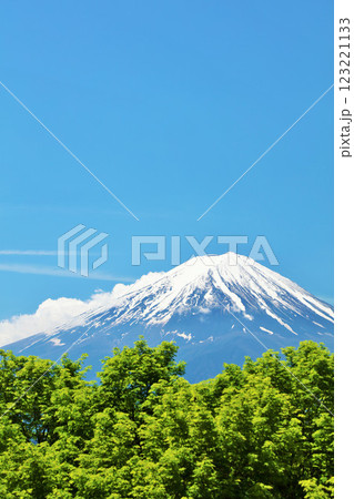 初夏の青空と新緑の風景　そして富士山 123221133