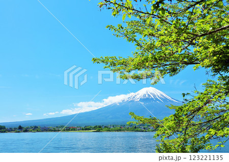 初夏の青空と新緑の風景 そして富士山 初夏の青空と新緑の風景 そして富士山 123221135
