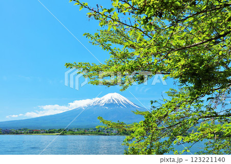 初夏の青空と新緑の風景　そして富士山 123221140