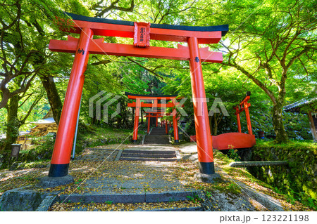 【重要伝統的建築物群保存地区】出石 新緑と有子山稲荷神社の参道1 兵庫県豊岡市 【重要伝統的建築物群保存地区】出石 新緑と有子山稲荷神社の参道1 兵庫県豊岡市 123221198