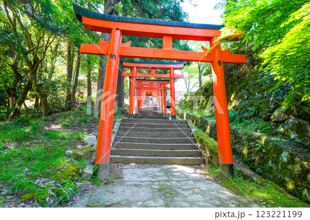 【重要伝統的建築物群保存地区】出石 新緑と有子山稲荷神社の参道2 兵庫県豊岡市 【重要伝統的建築物群保存地区】出石 新緑と有子山稲荷神社の参道2 兵庫県豊岡市 123221199