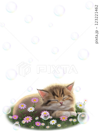 眠っているネコの背景(シャボン玉) d-1 眠っているネコの背景(シャボン玉) d-1 123221462