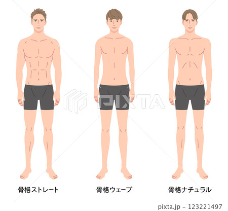 男性　骨格診断3タイプ　体型　骨格タイプの種類 123221497