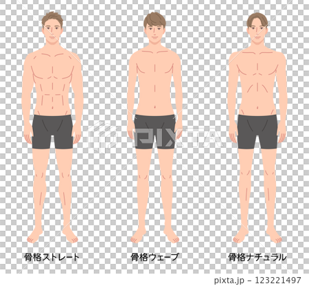 男性　骨格診断3タイプ　体型　骨格タイプの種類 123221497