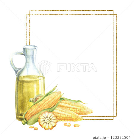 Glass bottle and corn oil with gold frame. Fresh sweetcorn, maize cob with husk, whole, cut cobs and kernels. Food composition for oil label Hand drawn watercolor illustration isolated from background 123221504