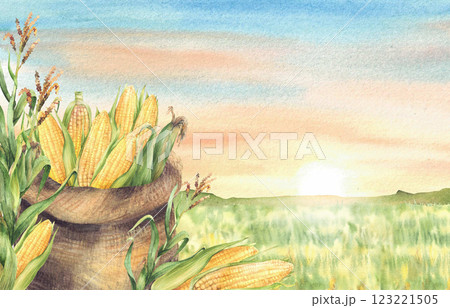 Sack of corncobs with maize plant and cobs. Watercolor landscape with cornfield against sunset sky. Canvas bag with harvested farm crop vegetables. Hand painted illustration Isolated from background. 123221505