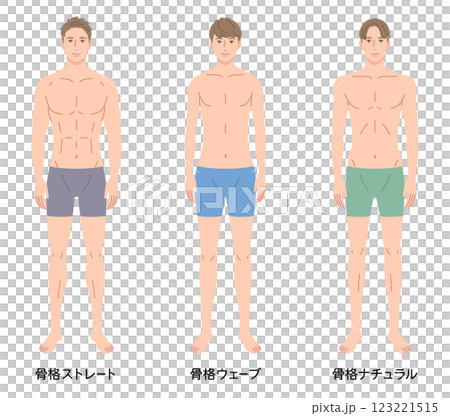男性 骨格診断3タイプ 体型 骨格タイプの種類 男性 骨格診断3タイプ 体型 骨格タイプの種類 123221515