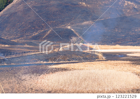 2025年2月15日山焼き当日の曽爾高原 山焼き後の曾爾高原➃ 2025年2月15日山焼き当日の曽爾高原 山焼き後の曾爾高原➃ 123221529