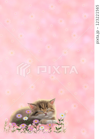 眠っているネコの背景（花柄）　h-4 123221565