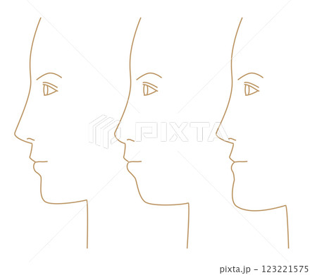 男性の横顔。顎の形のイラスト 123221575