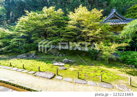 出石　初夏の沢庵寺宗鏡寺の本堂南庭1　兵庫県豊岡市 123221665