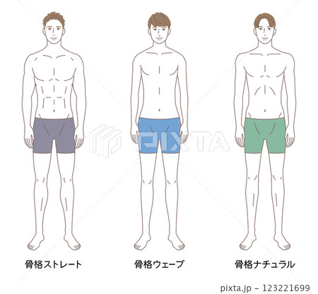 男性 骨格診断3タイプ 体型 骨格タイプの種類 男性 骨格診断3タイプ 体型 骨格タイプの種類 123221699
