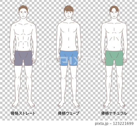 男性 骨格診断3タイプ 体型 骨格タイプの種類 男性 骨格診断3タイプ 体型 骨格タイプの種類 123221699