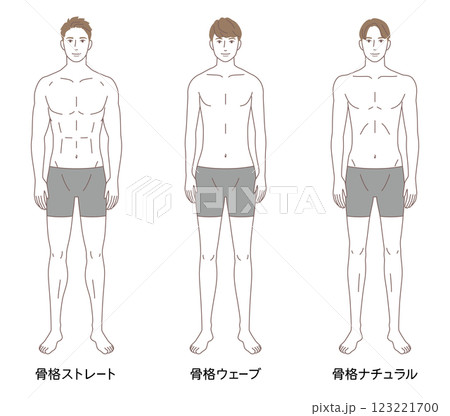 男性 骨格診断3タイプ 体型 骨格タイプの種類 男性 骨格診断3タイプ 体型 骨格タイプの種類 123221700