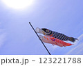 空を泳ぐ鯉のぼり 123221788