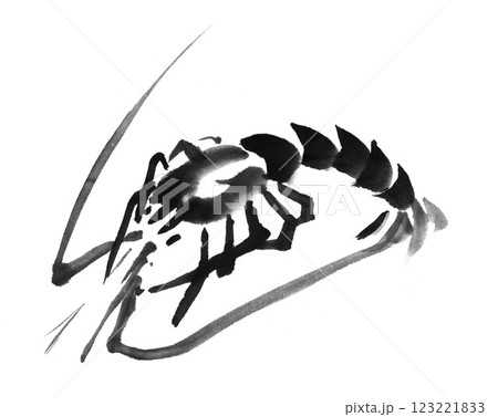 本物の墨と筆で和紙の上に実際に描かれた白黒の日本の水墨画 伊勢海老