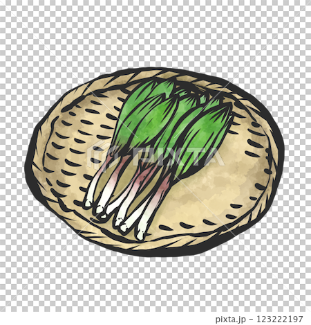 行者ニンニクの手描き筆絵風イラスト 123222197