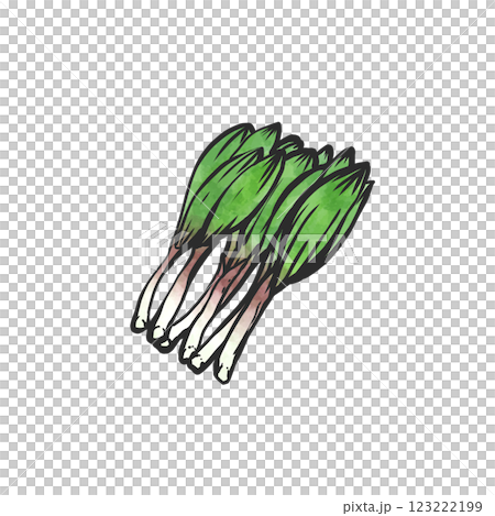 行者ニンニクの手描き筆絵風イラスト 123222199