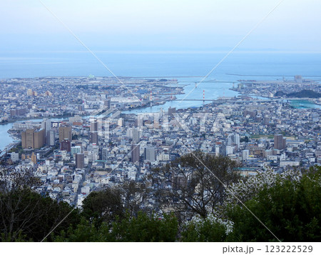 眉山から俯瞰する春霞の徳島市街地 123222529