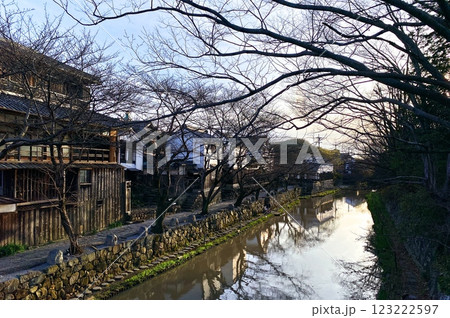 桜がもうすぐ開花前の春の近江八幡の八幡堀 桜がもうすぐ開花前の春の近江八幡の八幡堀 123222597