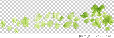 Illustration of clover drawn in watercolor 123222658