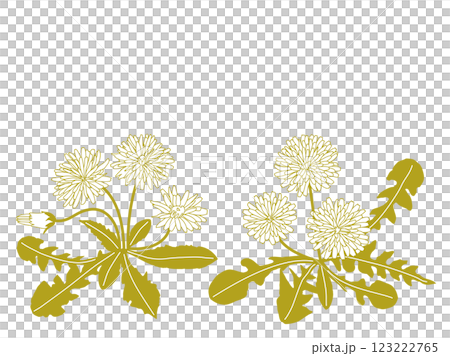 Dandelion vector illustration material Dandelion vector illustration material 123222765
