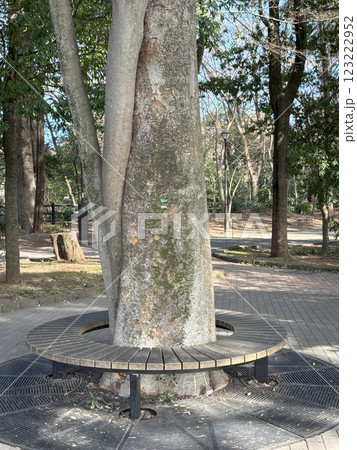 井の頭恩賜公園のベンチ 井の頭恩賜公園のベンチ 123222952
