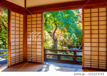 【京都風景】宝筐院　紅葉と緑葉が織りなす秋のひととき 123223145