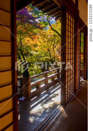 【京都風景】宝筐院 紅葉と緑葉が織りなす秋のひととき 【京都風景】宝筐院 紅葉と緑葉が織りなす秋のひととき 123223180