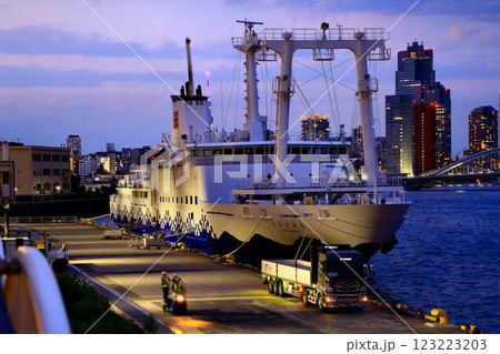 島々の命を支える貨客船… 3代目『さるびあ丸』 123223203