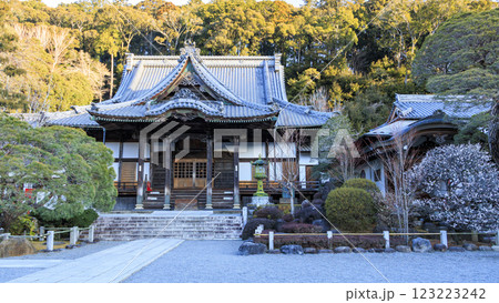 伊豆半島の修善寺の修禅寺の冬 123223242