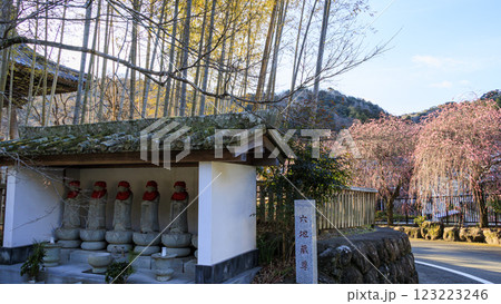伊豆半島の修善寺の修禅寺の冬 伊豆半島の修善寺の修禅寺の冬 123223246