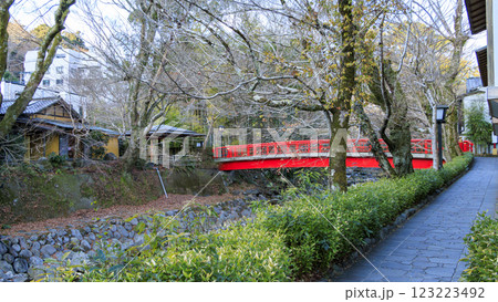 修善寺の竹林の小路の冬 123223492