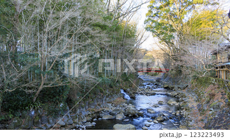 修善寺の竹林の小路の冬 123223493