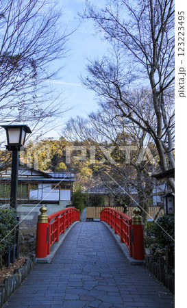 修善寺の竹林の小路の冬 123223495
