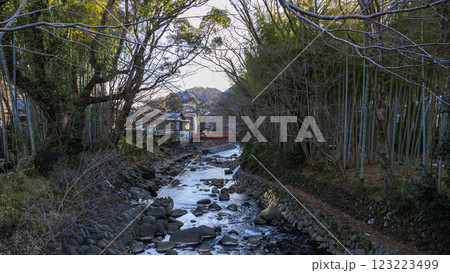 修善寺の竹林の小路の冬 123223499