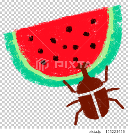 シンプルイラスト　クレヨンタッチ　カブトムシとスイカ 123223626
