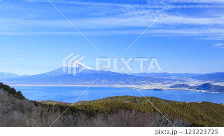達磨山から望む、駿河湾と冠雪した富士山 達磨山から望む、駿河湾と冠雪した富士山 123223725