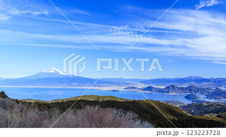 達磨山から望む、駿河湾と冠雪した富士山 達磨山から望む、駿河湾と冠雪した富士山 123223728