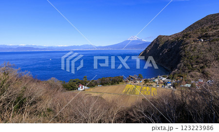 煌めきの丘から見た駿河湾と富士山 煌めきの丘から見た駿河湾と富士山 123223986