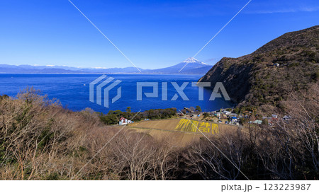 煌めきの丘から見た駿河湾と富士山 煌めきの丘から見た駿河湾と富士山 123223987