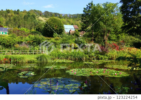 ジベルニーにあるモネの庭の睡蓮 ジベルニーにあるモネの庭の睡蓮 123224254