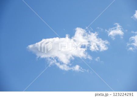 春の空 青空 晴れ 2月 【神奈川県 伊勢原市】 123224291