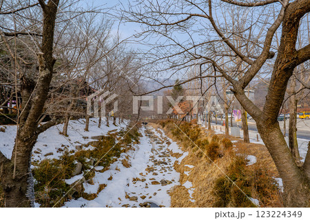 韓国 利川市 雪峰公園の風景 韓国 利川市 雪峰公園の風景 123224349