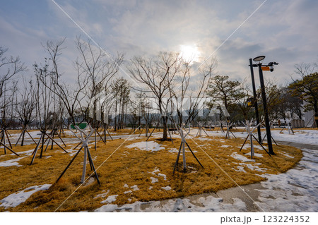 韓国　利川市　雪峰公園の風景 123224352