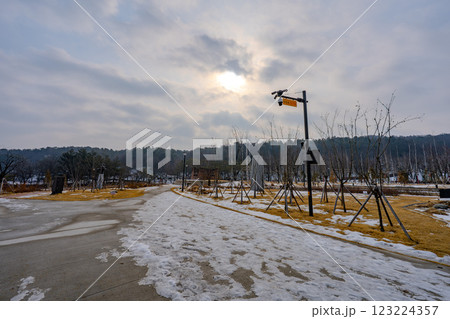 韓国　利川市　雪峰公園の風景 123224357