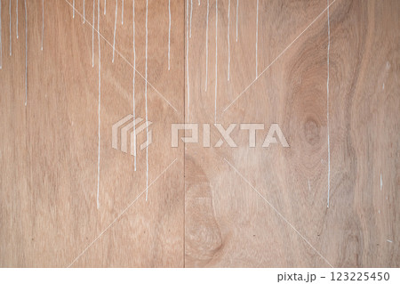 DIYリノベーション（シーラー塗布作業の途中） 123225450